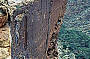Kings Canyon Wall