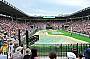 The Crocoseum
