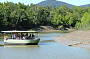 Crocodile watching on Proserpine River