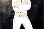 Sydney Harbour Cruise Rock n Roll Band &  ELVIS DINNER SHOW Dec 21st