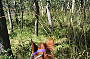 Hidden Valley Trail Ride 2 hour Special