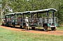 Wagon train tour through melaleuca forest