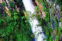 Twin Falls Waterfall Circuit