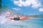 5 days 4 nights Cool Dingo Tour Ex Brisbane - Quad Share