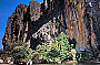 1 Day Geikie Gorge Experience (incl 1 hour CALM National Parks Authority Cruise)
