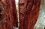 Ayers Rock (Uluru) & Olgas - Back in a Day -All Inclusive