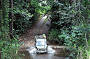 Cairns to Port Douglas Daintree River-cruise and Mossman Gorge