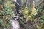 South Coast Track Trek 9 day trek