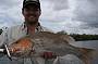 Hinchinbrook (full day)