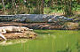Cairns Habitat  Cruise & Green Island Cruise Combo