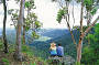 Daintree Wanderer