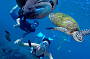 Moore Reef Cruise and Introductory Scuba Dive special 