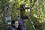 Treetop Walk bridge