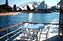 Sydney Harbour Cruise CHRISTMAS DAY Seafood Buffet Lunch  