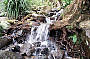 Russell River Full Day Sports Rafting Ex Port Douglas