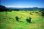 Old Boonjie Road Lookout 