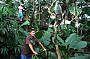 Cairns Wildlife Dome
