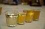 Scruffy Bunch Microbrewery Tours!
