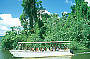 Daintree River Cruise