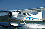 Beaver seaplane