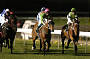 Night Racing at Moonee Valley