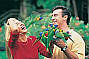 Lorikeet Feeding