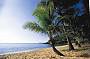 3 Day Cape Tribulation - Cooktown  (Moderate twin share accommodation)