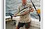 Yellowfin tuna