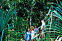 Enjoy a guided island ecology walk