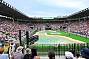 Crocoseum