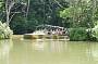 Army Duck Tour of the Rainforest