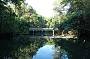 Our roofless boat allows into the more secretive parts of the river system.