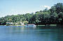 Cairns to Port Douglas Daintree River-cruise and Mossman Gorge