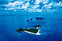 The idyllic Frankland Islands