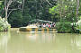 Rainforestation - Army Duck Rainforest Tour (with Tropical Fruit Orchard)