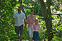 Rainforest walk