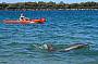 Balunjali Kayaking, snorkeling, dolphins