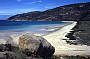 A Day on LIZARD ISLAND