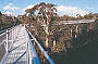 Tree Top Walk
