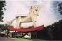 Rocking Horse