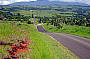 Bartle Frere, highest mountain in Qld 1622 m