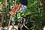 Monkey Man-Fraser Island