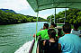 Cape Tribulation & Daintree Starter Pak Day Tour