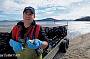 Barilla Bay Oyster farm