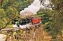 Half Day Puffing Billy and Dandenong Ranges,Half day with Tea (XK5)