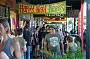 Nimbin & Byron Bay (From Brisbane)