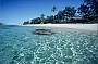 A Day on LIZARD ISLAND