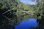 Noosa River and Everglades Cruise