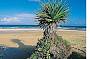 Fraser Island 3 Day Exclusive Camping Adventure