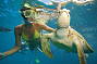 2 Day Great Barrier Reef & Barron River Rafting package